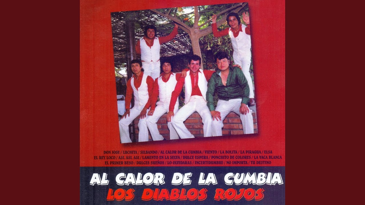 Mix Cumbias: Don José / Luchita/ Silbando/ Al Calor de la Cumbia/ Viento/ La Bolita/ La...