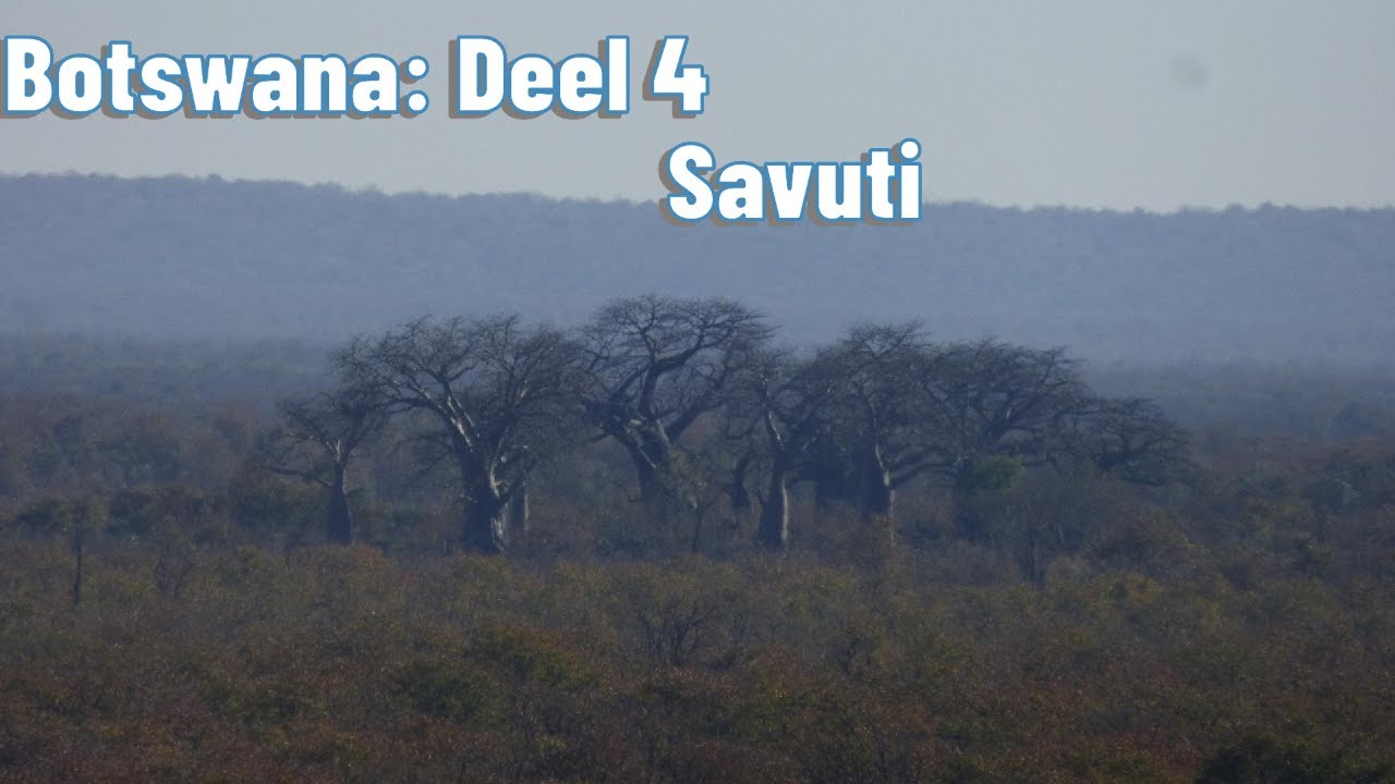Botswana: Deel 4 - Savuti