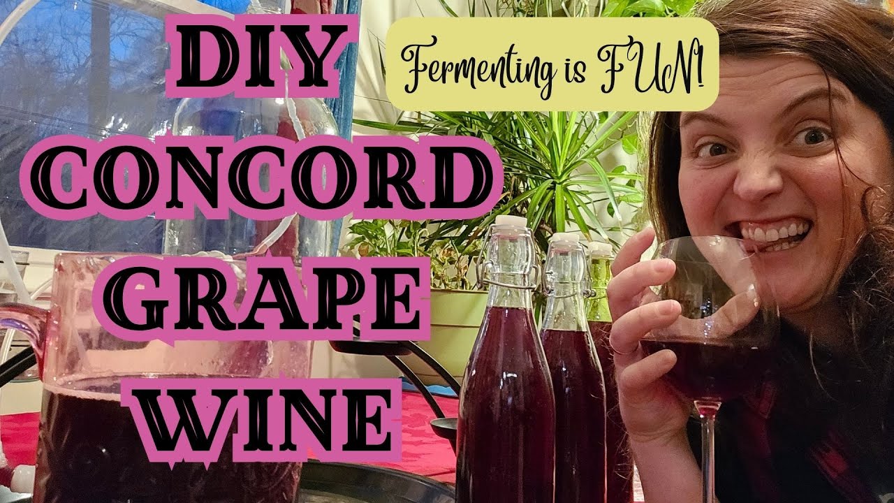 Homemade WINE! with Concord Grape Juice