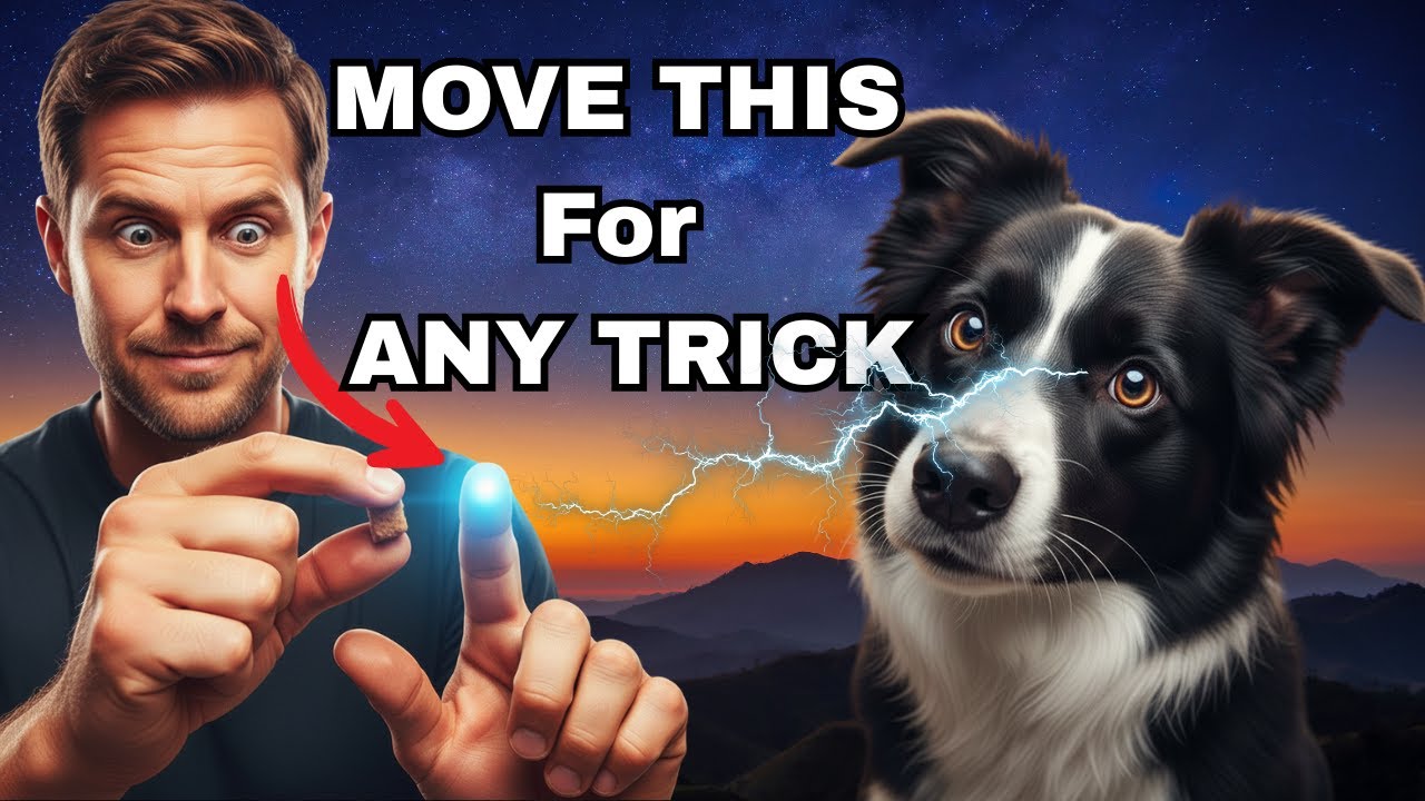 The ONE Trick You Need to Teach Your Dog ANY Command (Dog Training Secret Revealed!)