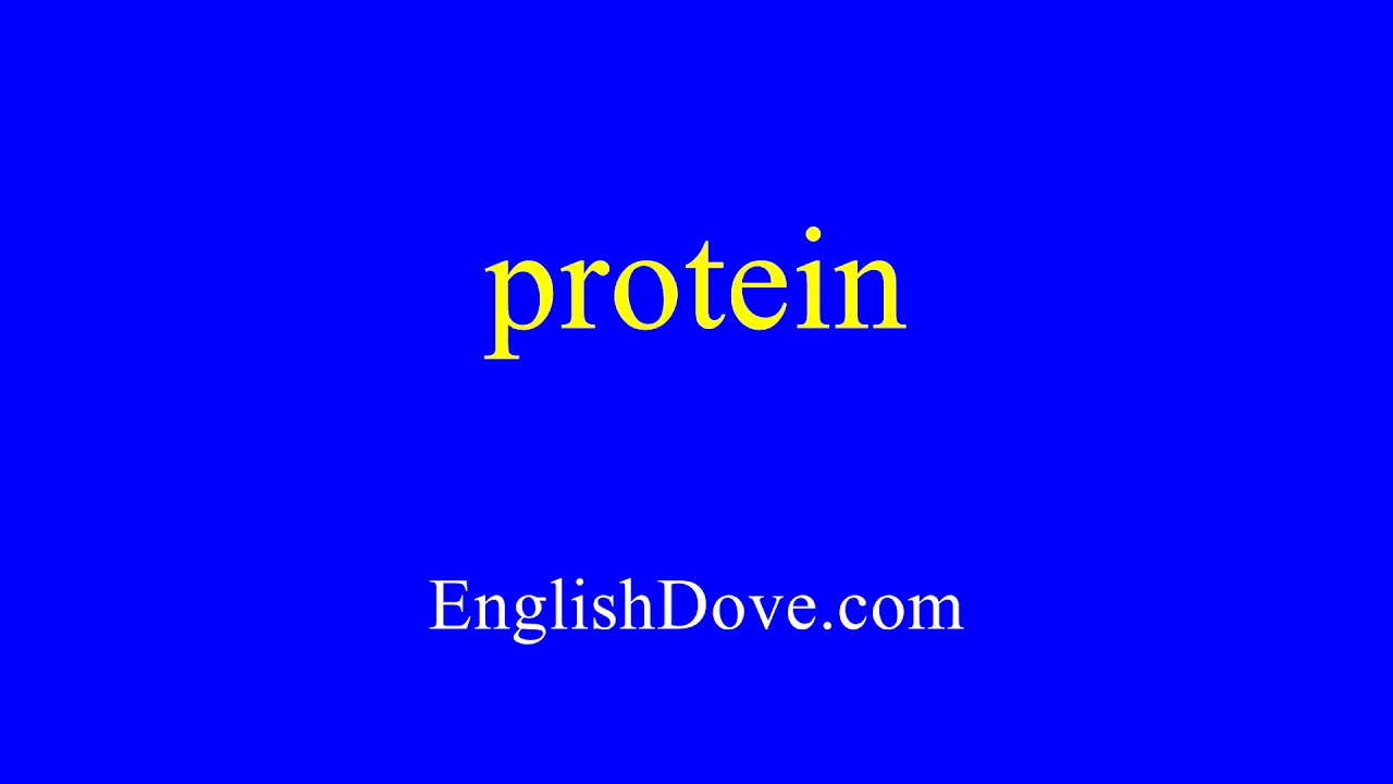 How to pronounce protein in American English.