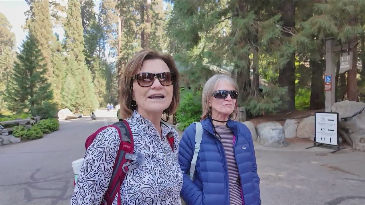 'Thank Congress for that,' say visitors at Sequoia National Park during shutdown