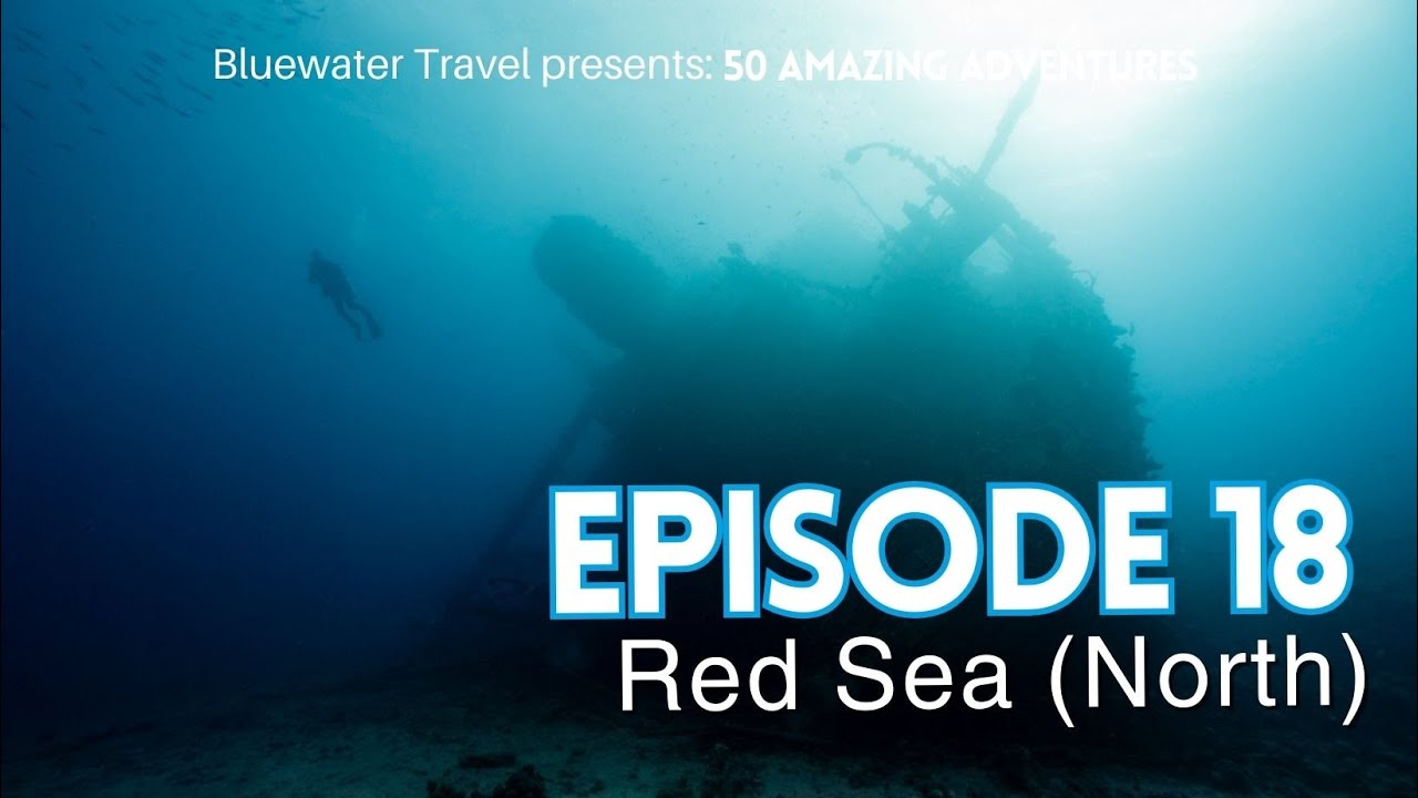 🐠 One of the seven wonders of the underwater world!