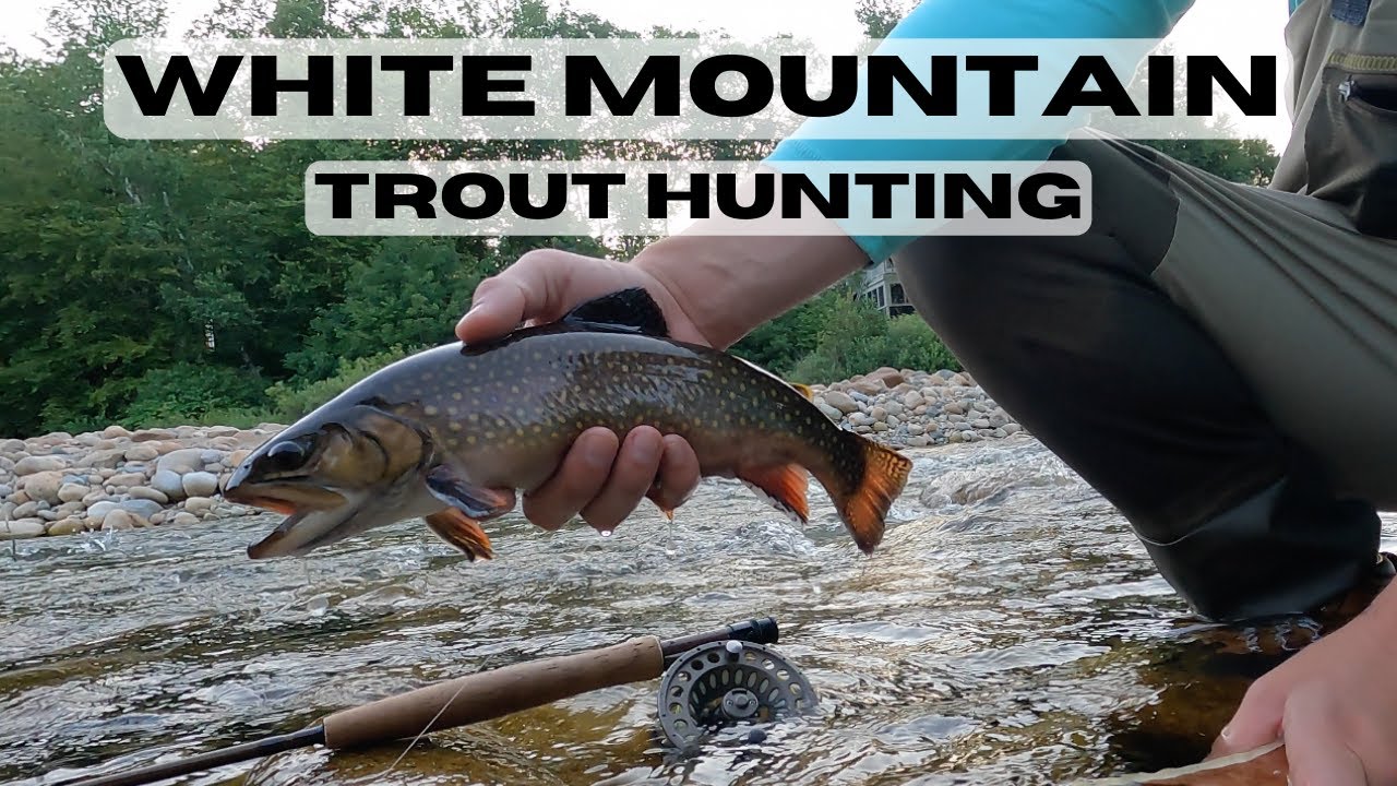 Big Mountain Trout - Pemigewasset River, NH