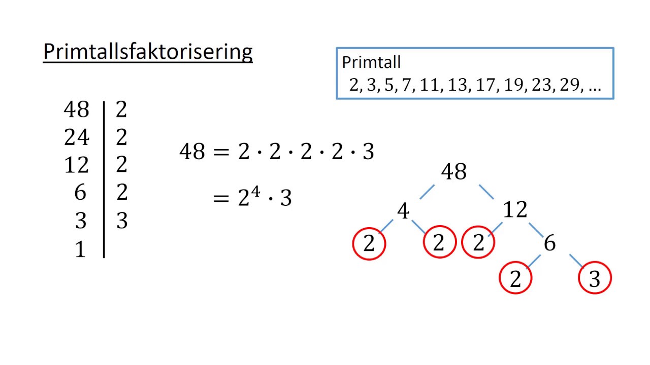 Faktorisering av tall