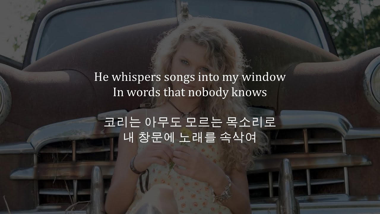 테일러 스위프트의 짝사랑에 관한 노래 / Taylor Swift - Stay Beautiful