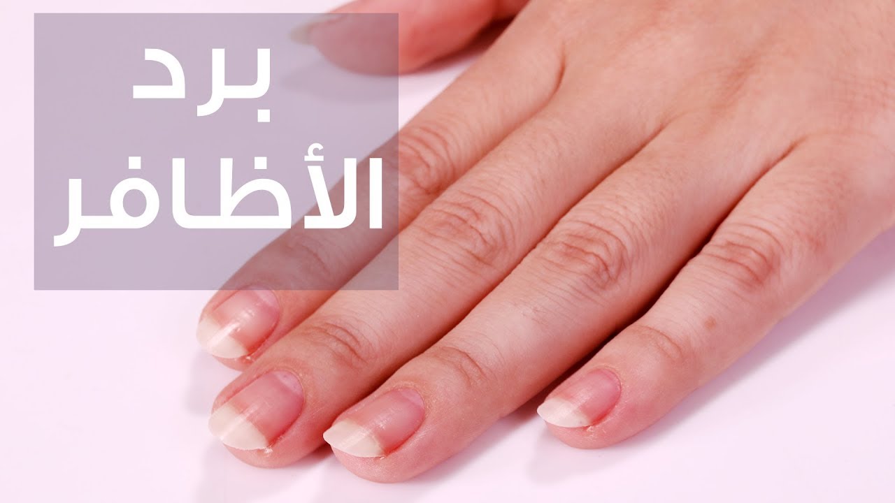 How to File Nails the Right Way With Nour | برد الاظافر بالشكل الصحيح مع نور