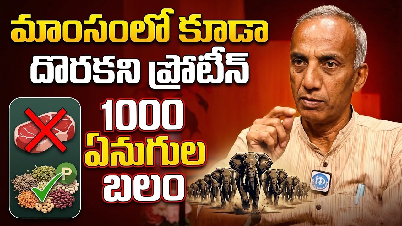 Protein not found in meat Strength of 1000 elephants | iDream Health Talks