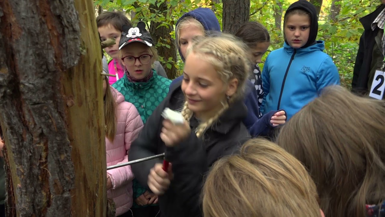Do lesa s lesníkem | Dobříš 7. 10. 2021
