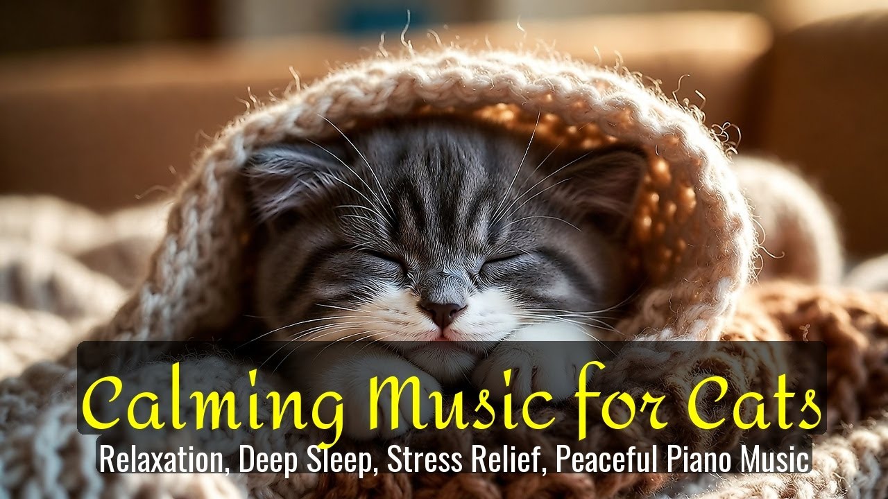 Calming Music for Cats - Relaxation, Deep Sleep, Stress Relief, Peaceful Piano Music | Season 40