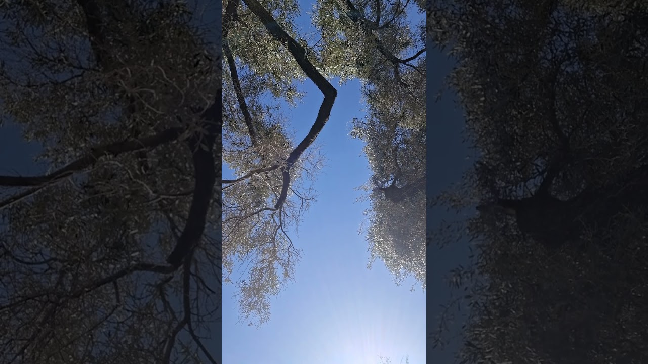 Someone is watching manifest in realtime