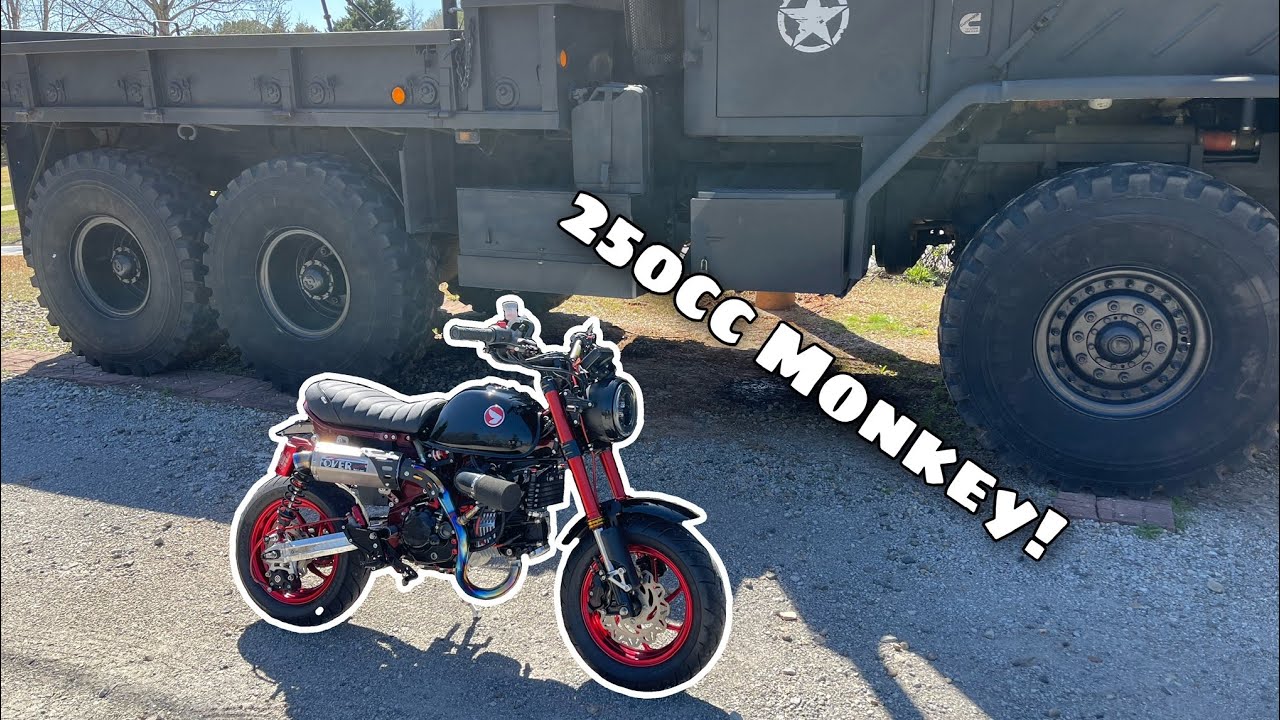 The $30,000+ 250cc Monkey!