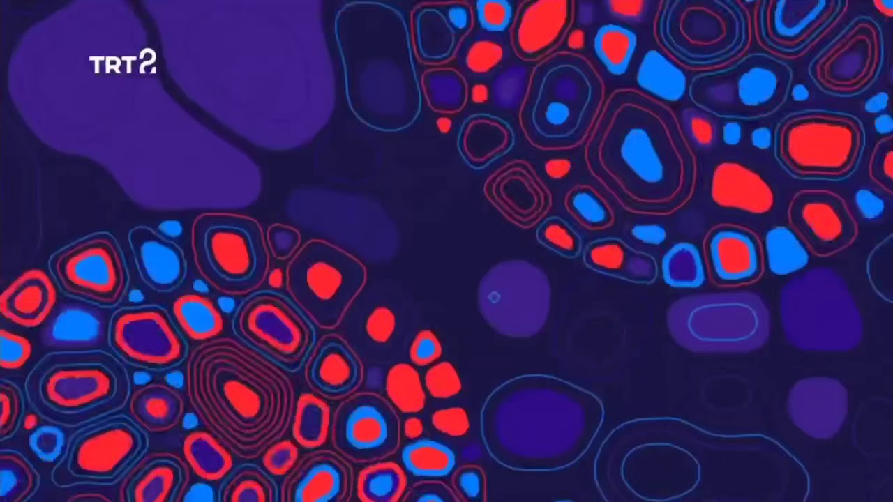 TRT 2 - Jenerikler (2019)