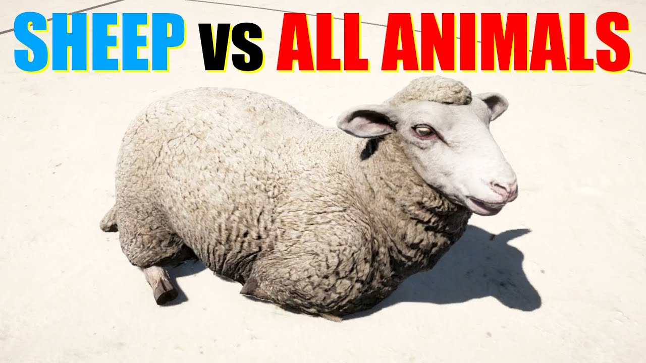 Far Cry 5 Arcade - Animal Fight: Sheep vs All Animals Battles