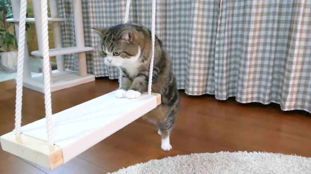 ブランコとねこ。-Swing and Maru.-