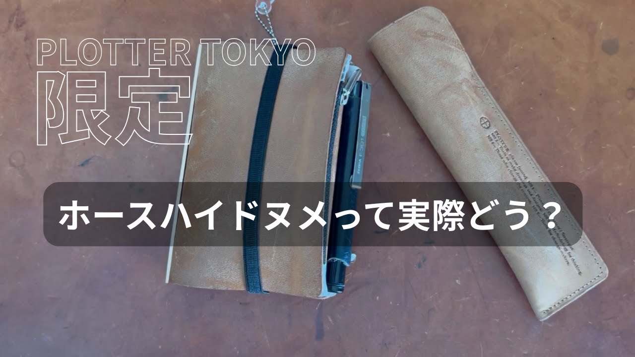 PLOTTER TOKYO限定のM5ホースハイドヌメレザーバインダーを8ヵ月使用してのリアルな感想｜※カスタマイズでアクシデント発生｜システム手帳
