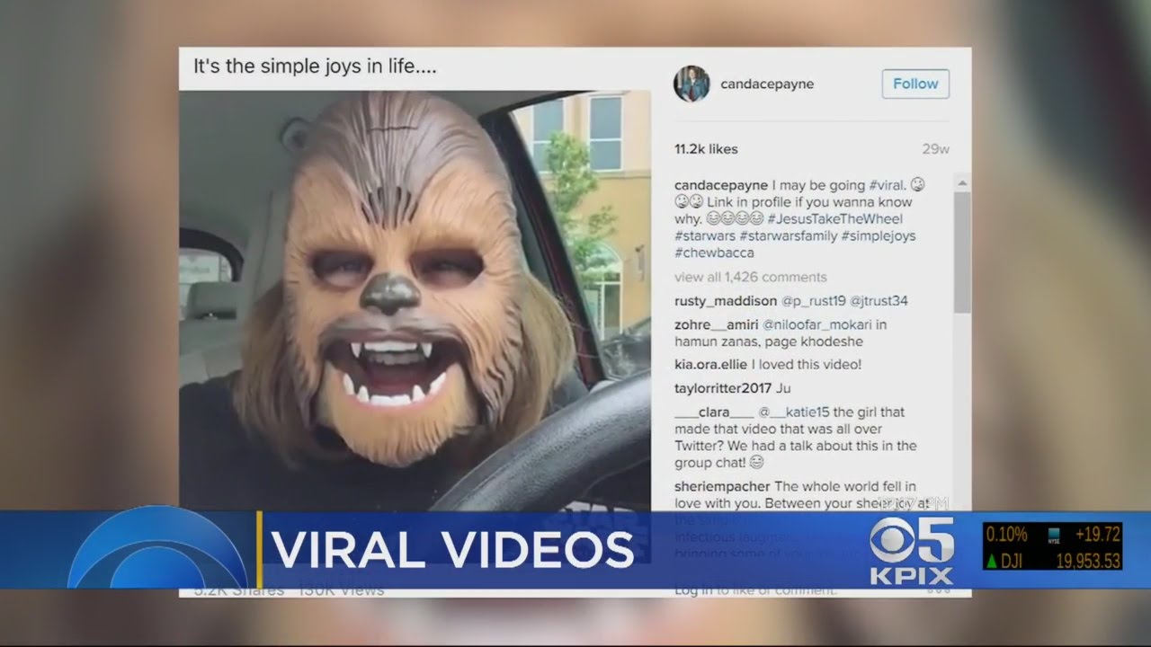 VIRAL VIDEOS 2016:  Top Viral Videos On Social Media For 2016