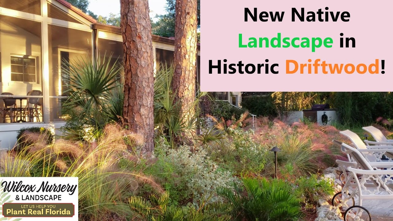Landscape Tour: Native Landscape in Historic Driftwood!