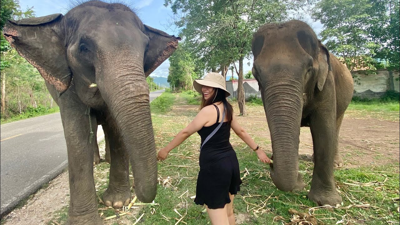 Dear diary, I went to bkk for my 30th bday :)
