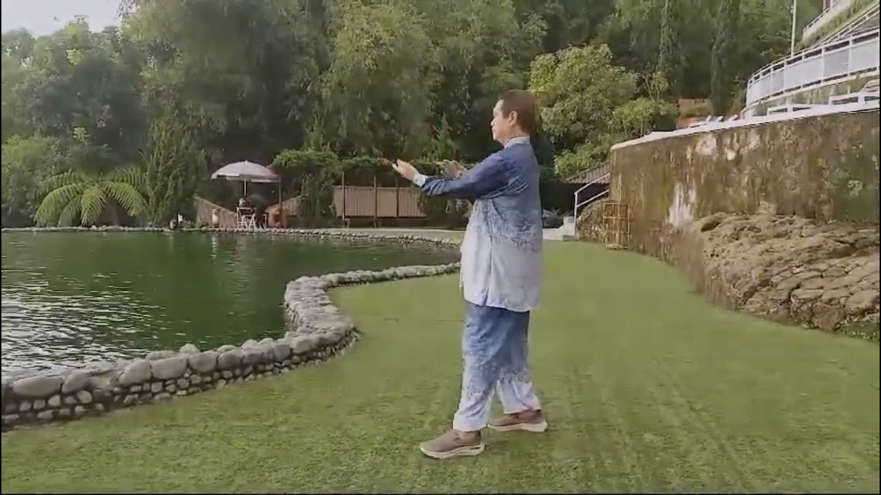 TAIJI QUAN 48 FORM