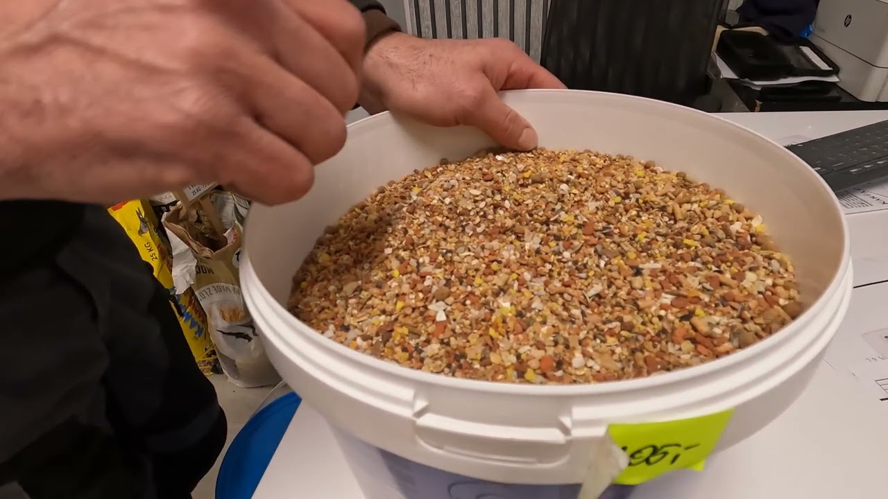 👉 TOP Multimixy – najlepsze gryty i minerały dla gołębi w Polsce
