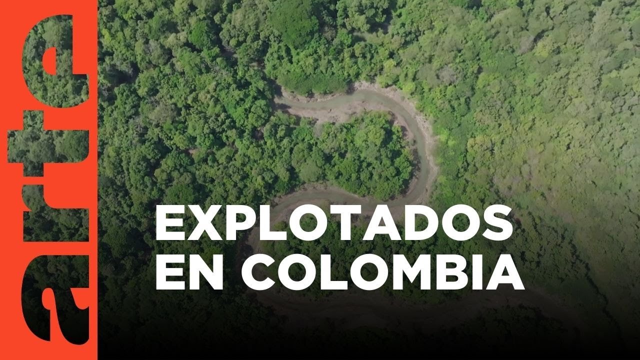 Colombia: carbón para Europa | ARTE.tv Documentales
