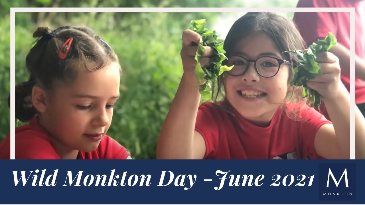Wild Monkton Day June 2021