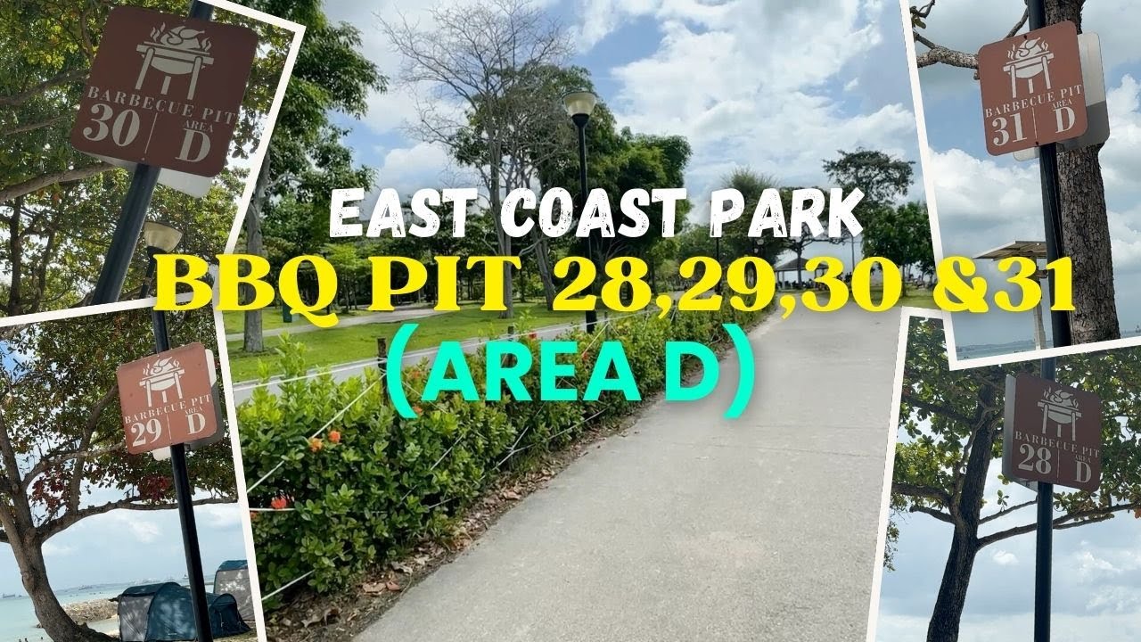 ECP BBQ Pit 28-31 Area D: East Coast Park  Ultimate Family Guide