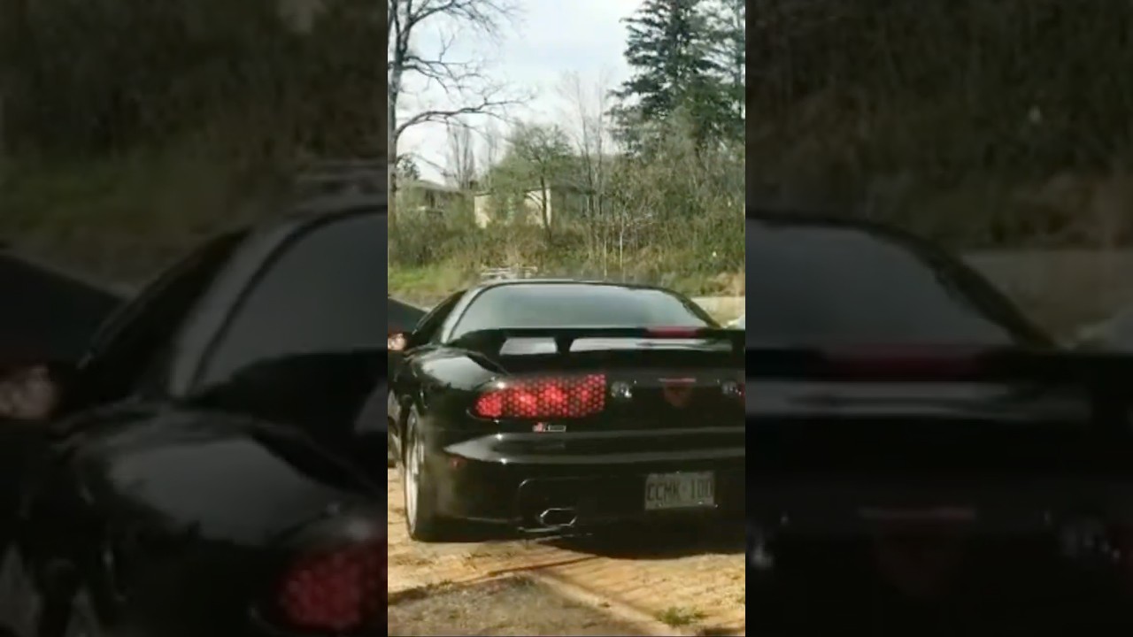 2002 Trans-Am WS6