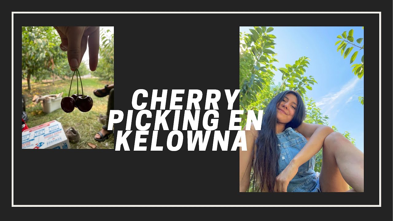 Vlog 02- Recolecta de Cereza en Kelowna