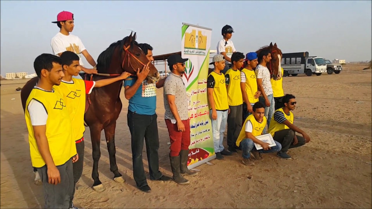 تنمية ناوان ومربط الخيل العربية الاصيلةبالعقيق يختتم دورة فنون ركوب الخيل بناوان ت :عبدالله مراد