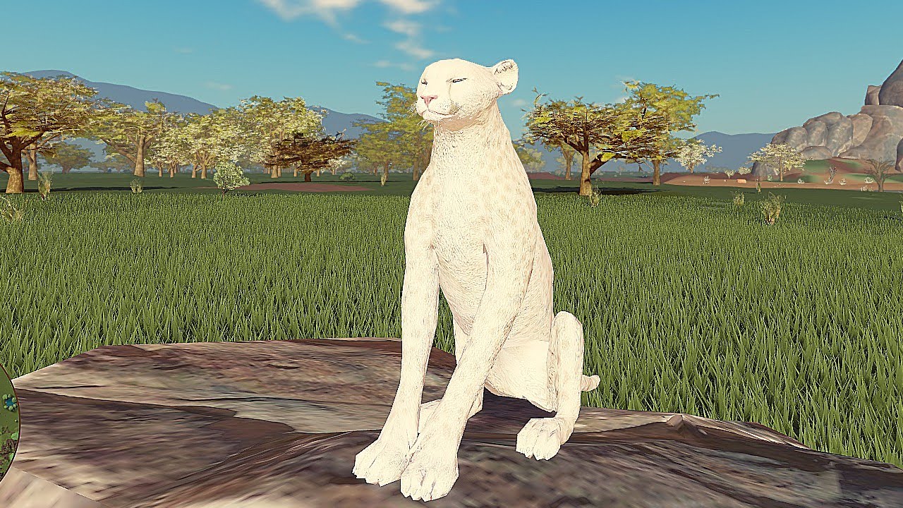 O GUEPARDO! que Confiou Demais, De Filhote até Adulto! Savannah Life ROBLOX