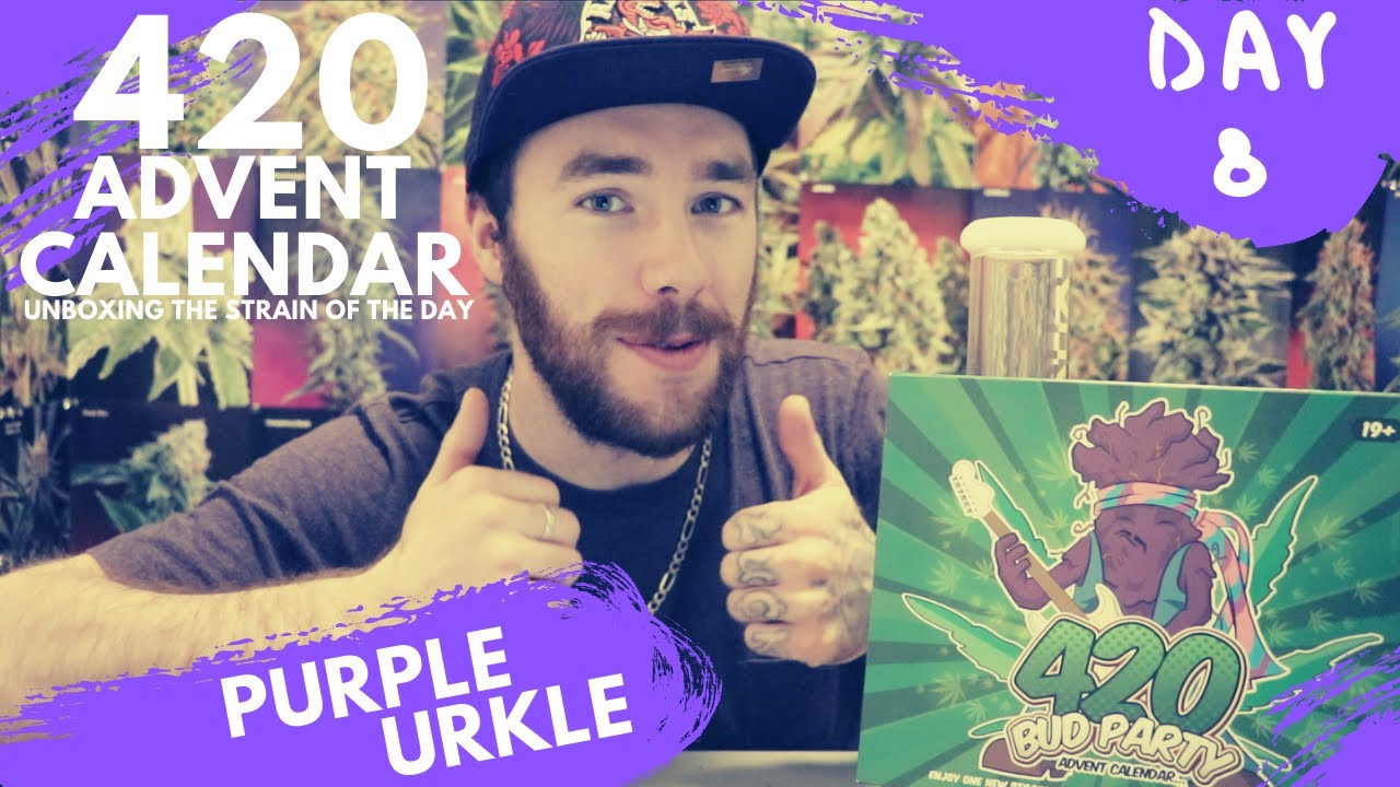 Day 8: Purple Urkle Marijuana Strain Review - 420 Cannabis Advent Calendar Unboxing