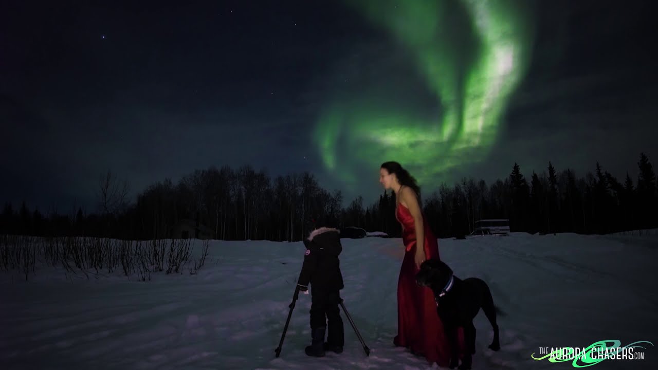 Warning! Sounds of pure excitement and joy! Wild night of Northern Lights in Alaska in Real-Time