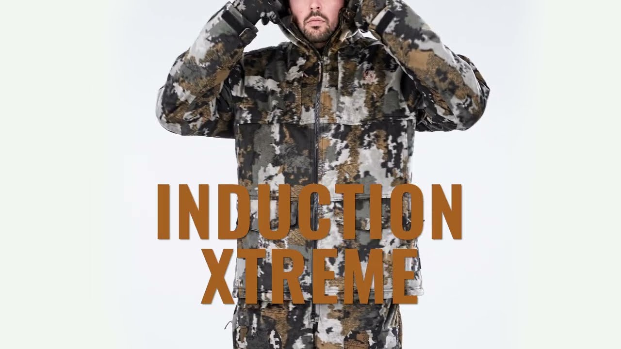 Ensemble Induction Xtreme