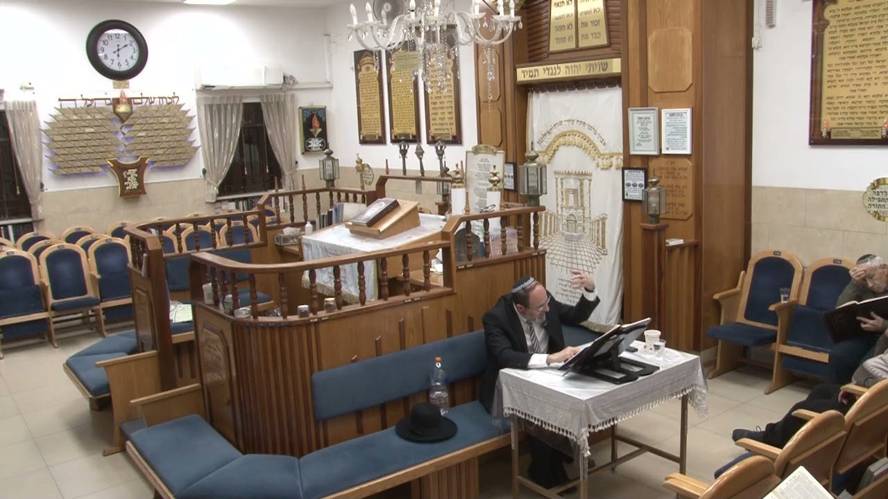📖 שיעור 2023 – תלמוד בבלי: מסכת סוטה | הרב הגאון משה מערבי שליט