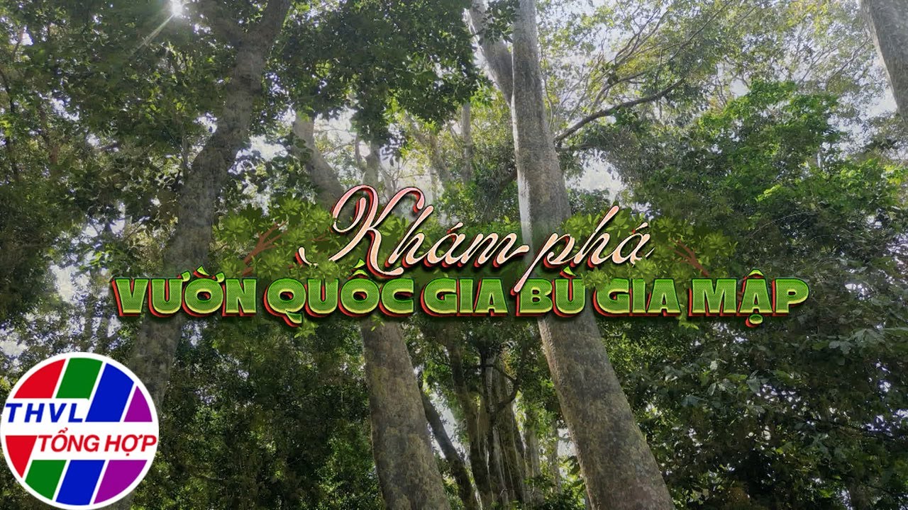 Nam Bộ du ký: Khám phá Vườn quốc gia Bù Gia Mập