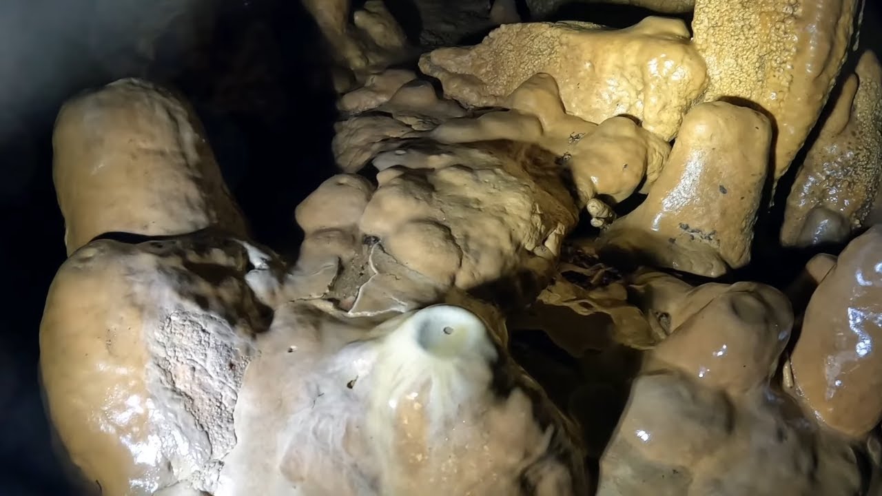 Crawling Beneath The Earth