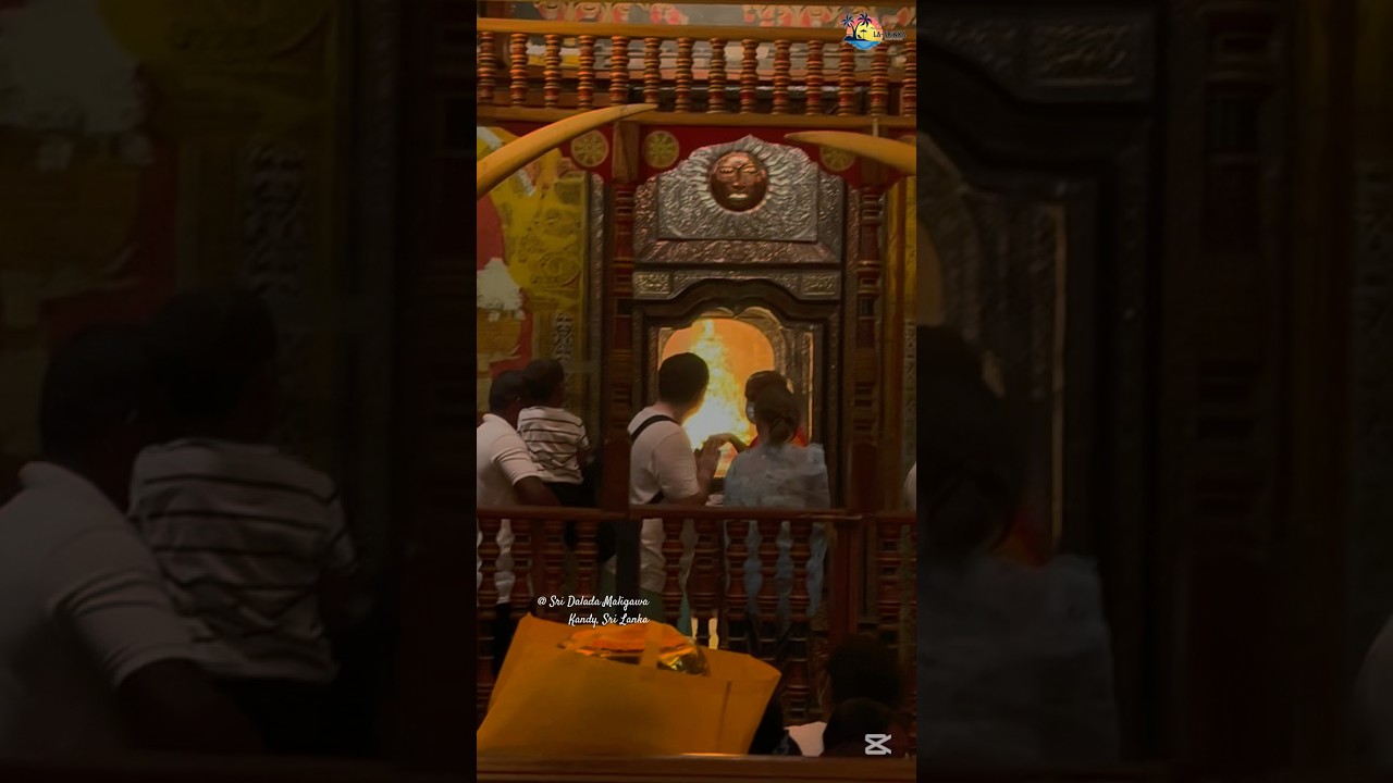 Sacred Tooth Relic Exposition Begins at Dalada Maligawa ✨ #sridaladamaligawa #templeofthetooth