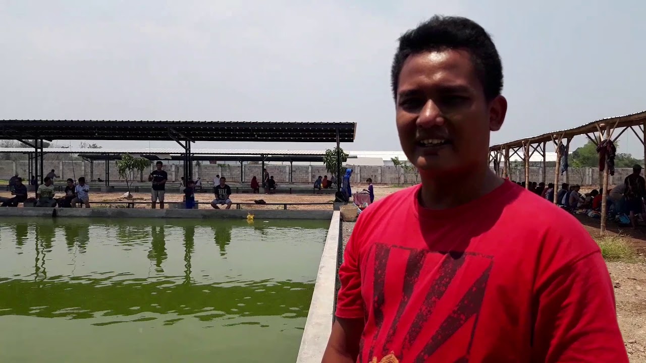 KOLAM PANCING CJDW MOJOAGUNG