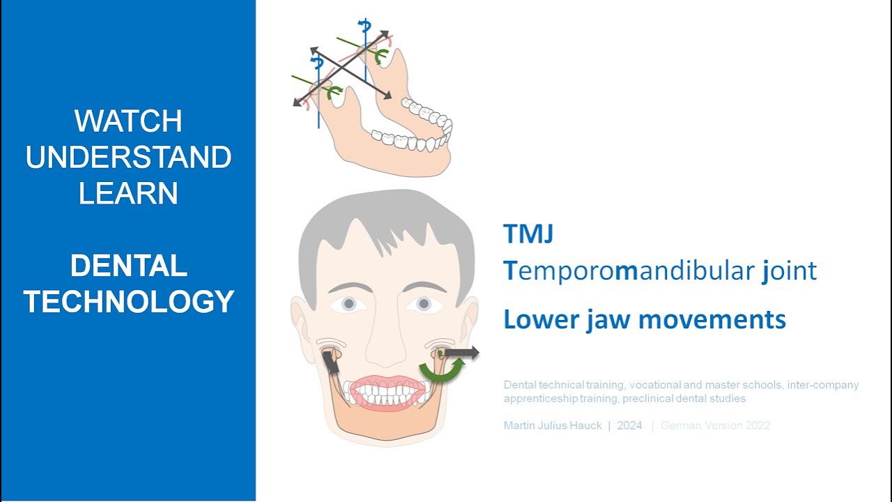 TMJ (Temporomandibular joint) & Lower jaw movements