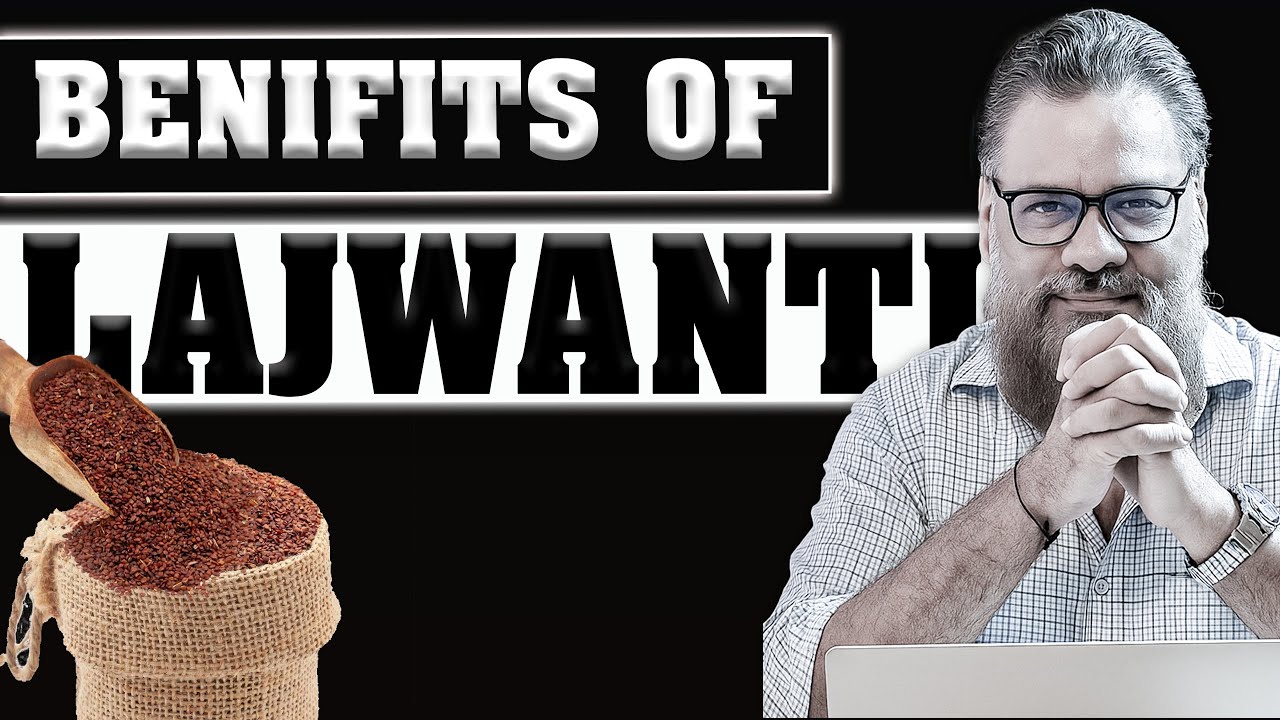 🌿 &ldquo;Lajwanti &ndash; Sharamili magar taqatwar booti! Nerves aur sugar ke liye lajawab 💊 by Dr Ibrahim&rdquo;