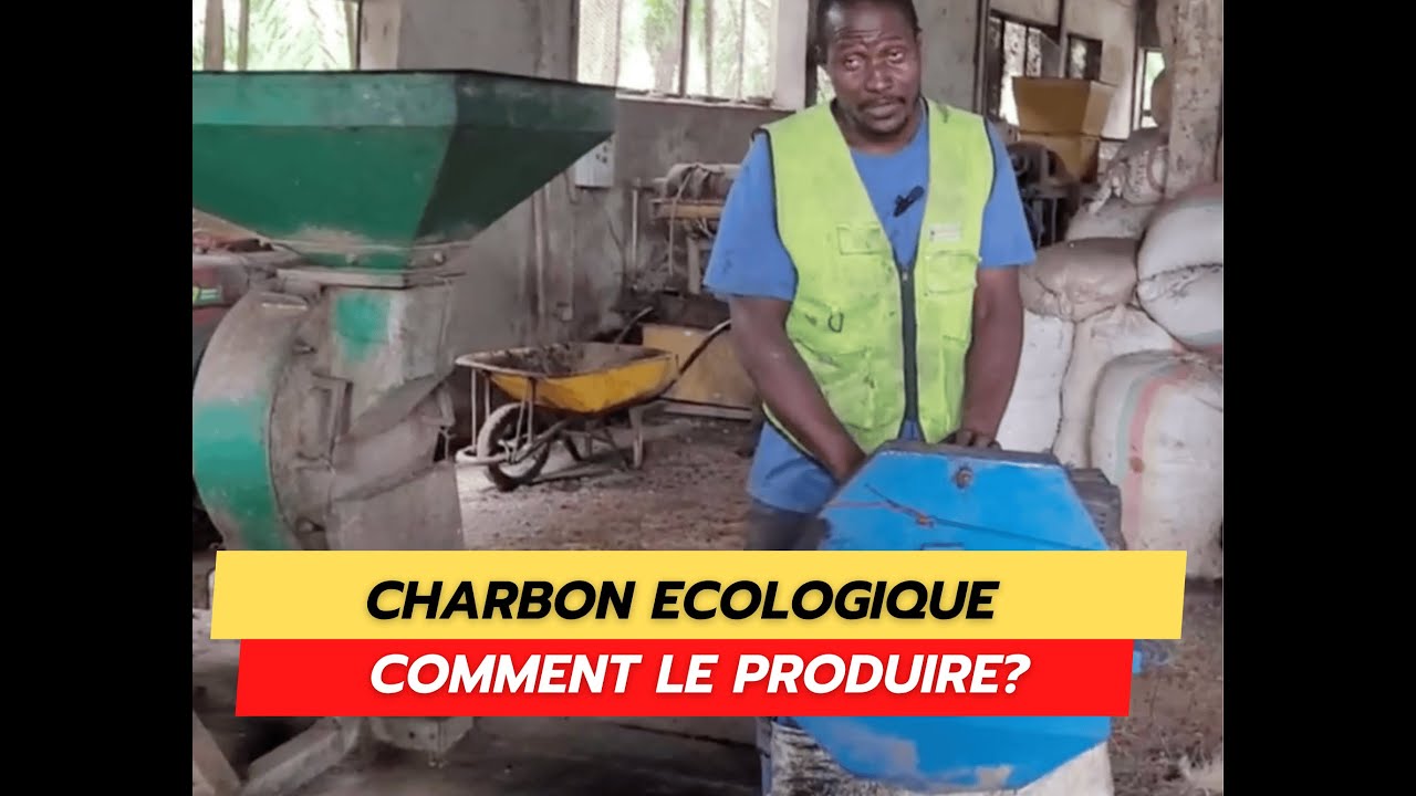 CHARBON VERT ECOLOGIQUE : Processus de fabrication a partir des coques de noix de palmiste