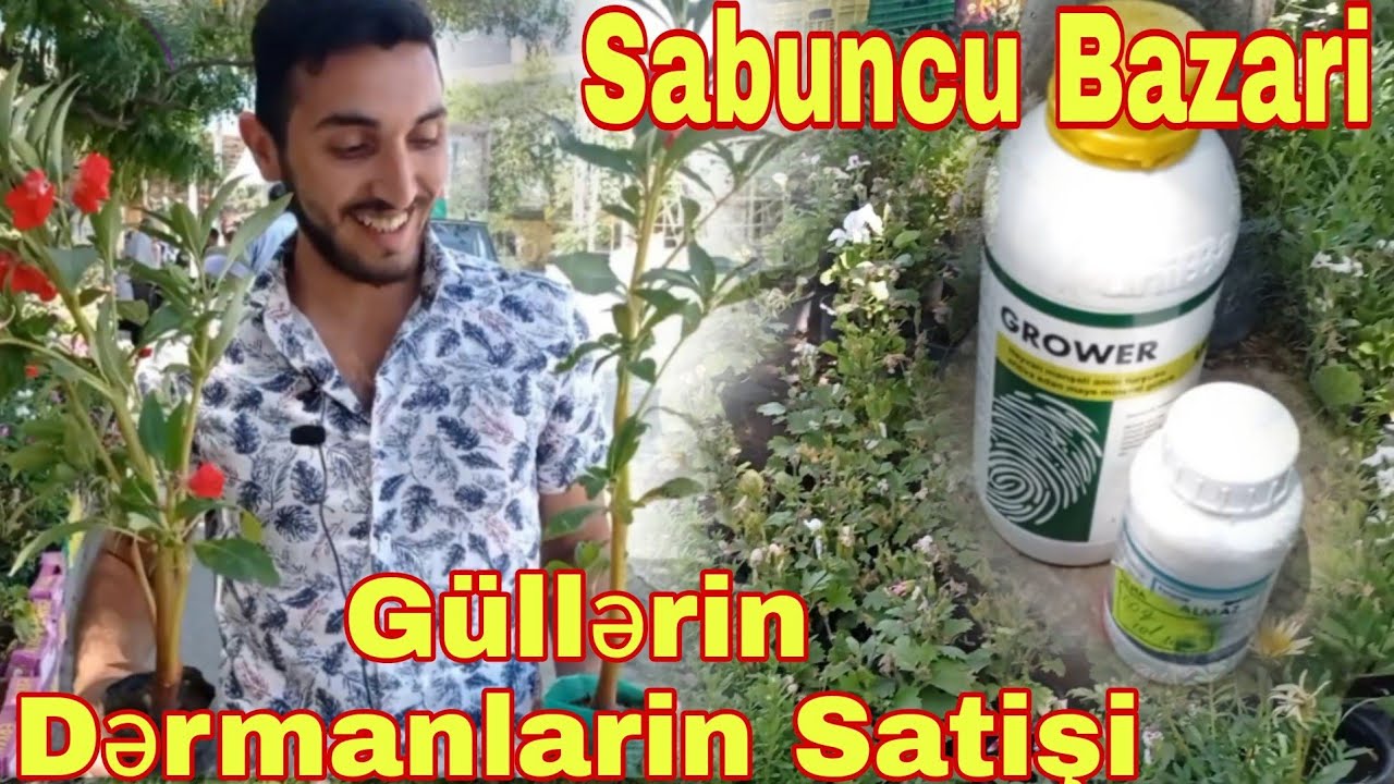 Sabuncu Bazari Güllərin Dərmanlarin Satişi 18 06 2022