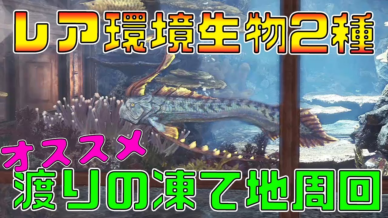 【MHWI】レア環境生物 ワダツミノツカイ&ツキノハゴロモの捕まえ方！【モンスターハンターワールド:アイスボーン】