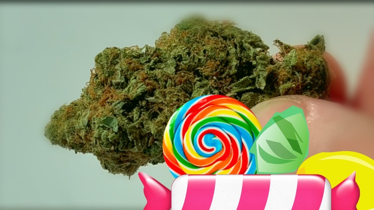 Kandy Kush Strain Review
