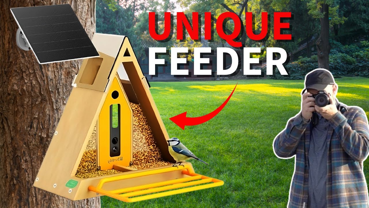 I Tried This Unusual Triangle Smart Feeder – Here’s What Happened!