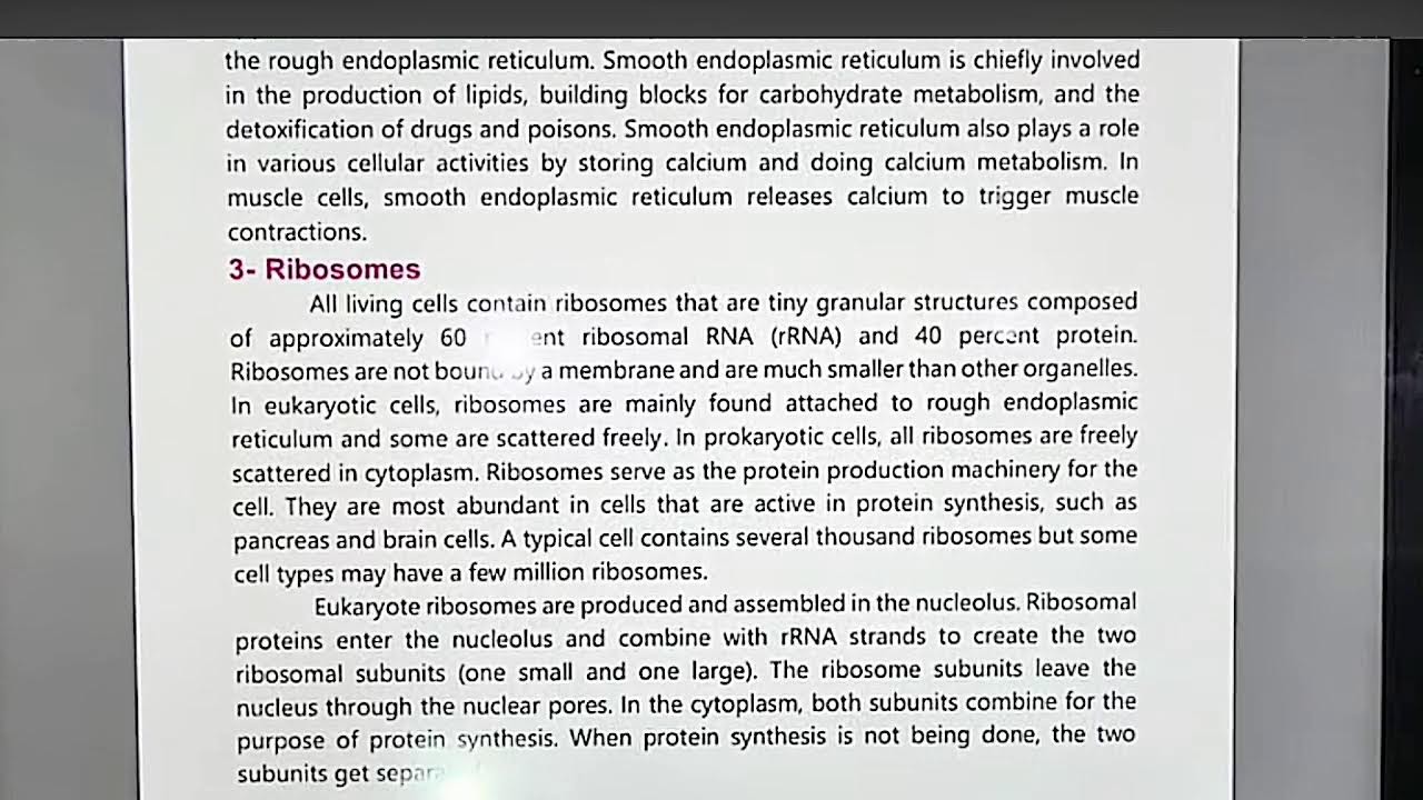 Class 1st Year | Biology | chapter 3 | All Lectures | 2025 New Course | Maam Sadaf