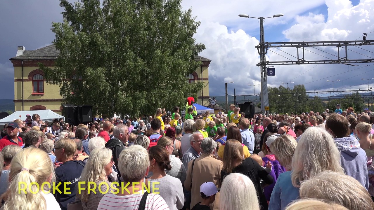 2017 Sommertoget Hønefoss