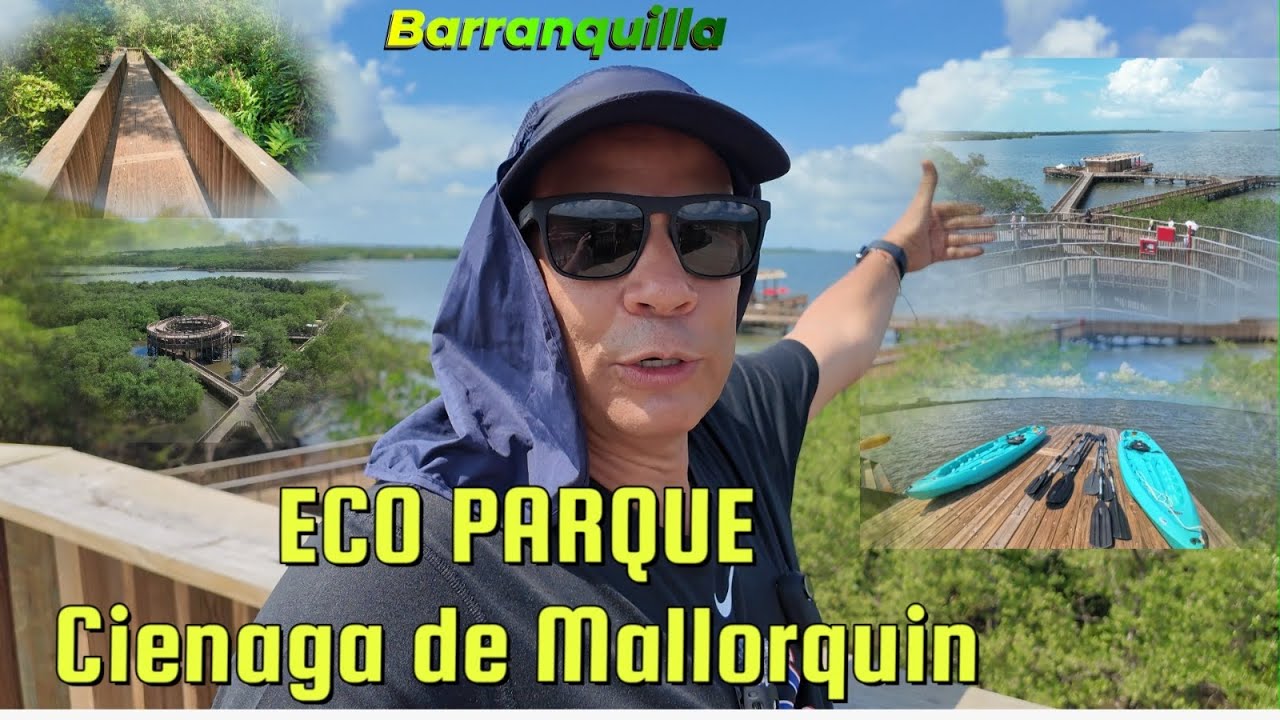 Conozca El Tesoro Natural de Barranquilla🦩Senderismo: Flora y Fauna del Caribe Colombiano🇨🇴